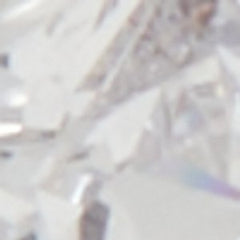 Aschianamini