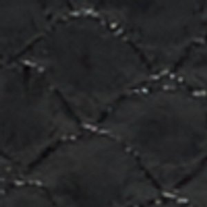 Brimortonnx