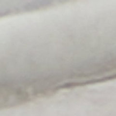 Dauvray