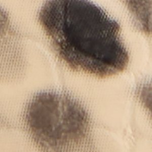 Adrelya