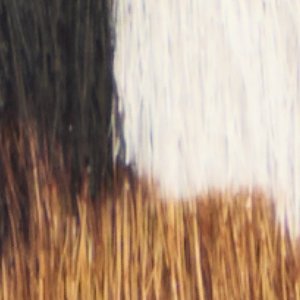Barano