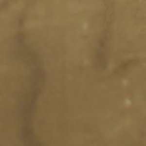 Cleadonn