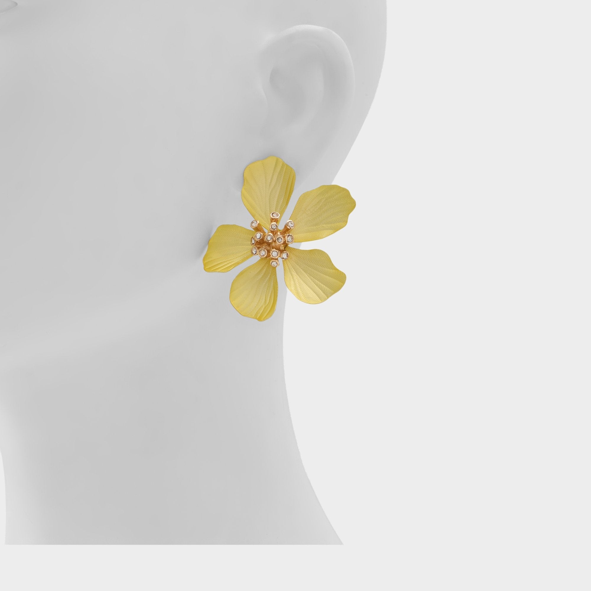 Cammelia